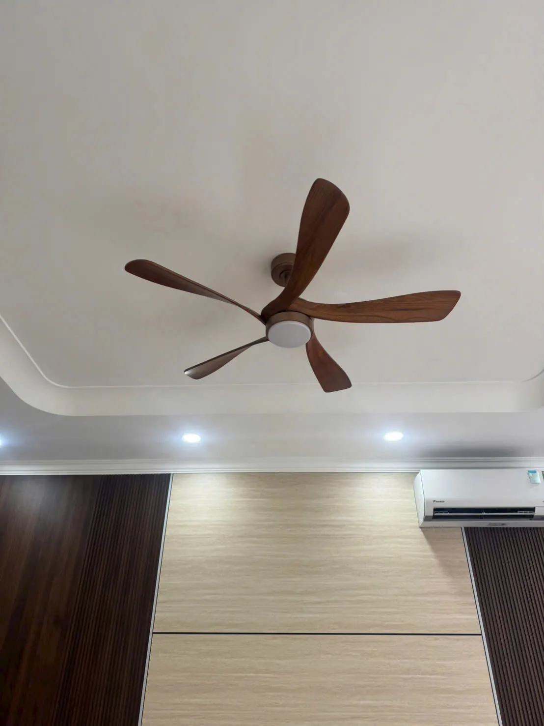 quạt trần công trình quận tân bình